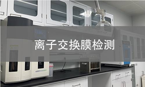离子交换膜检测