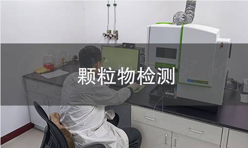 颗粒物检测