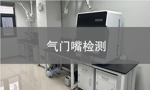 气门嘴检测