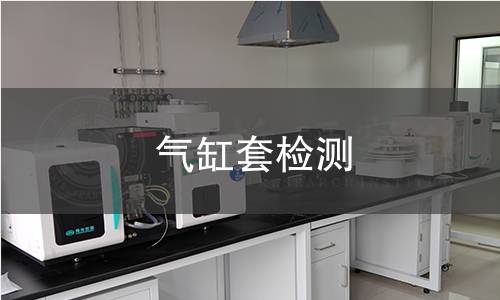 气缸套检测