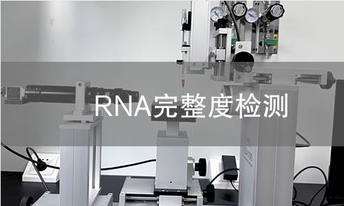 RNA完整度检测