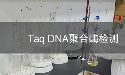 Taq DNA聚合酶检测