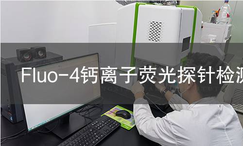 Fluo-4钙离子荧光探针检测