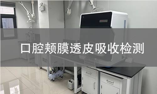 口腔颊膜透皮吸收检测