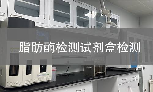 脂肪酶检测试剂盒检测