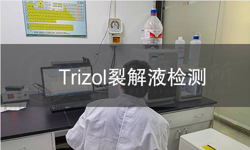 Trizol裂解液检测