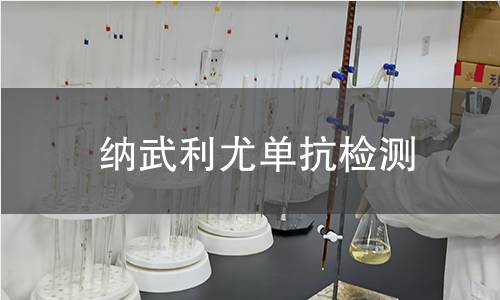 纳武利尤单抗检测