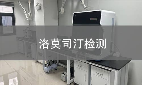 洛莫司汀检测