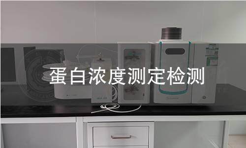 蛋白浓度测定检测