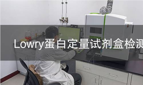 Lowry蛋白定量试剂盒检测