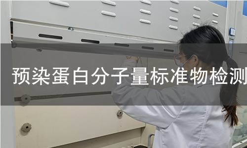 预染蛋白分子量标准物检测