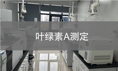 叶绿素A测定