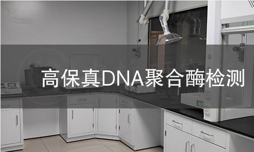 高保真DNA聚合酶检测