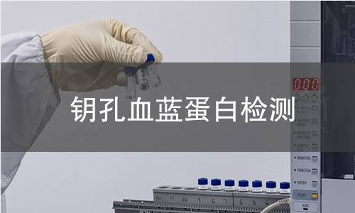 钥孔血蓝蛋白检测