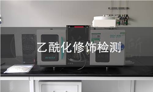 乙酰化修饰检测