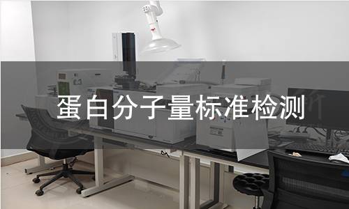蛋白分子量标准检测