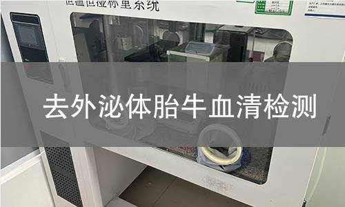 去外泌体胎牛血清检测