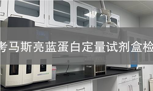 考马斯亮蓝蛋白定量试剂盒检测