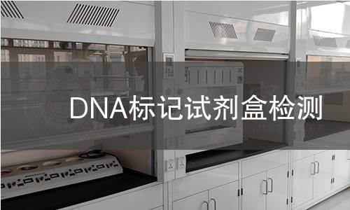 DNA标记试剂盒检测