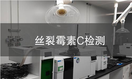 丝裂霉素C检测