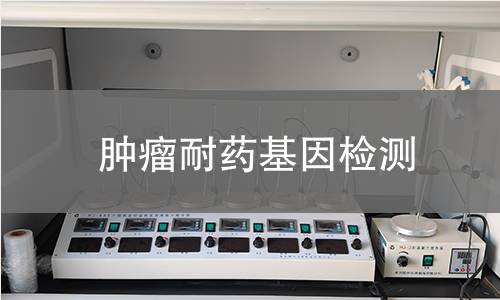 肿瘤耐药基因检测