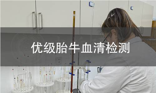 优级胎牛血清检测
