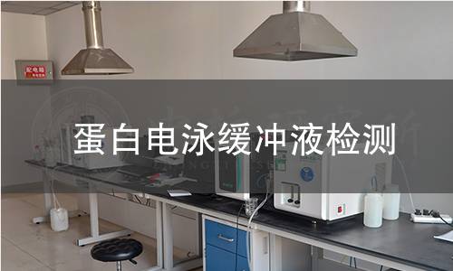 蛋白电泳缓冲液检测