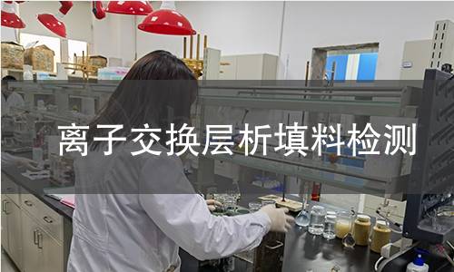 离子交换层析填料检测