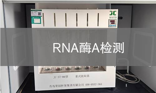 RNA酶A检测