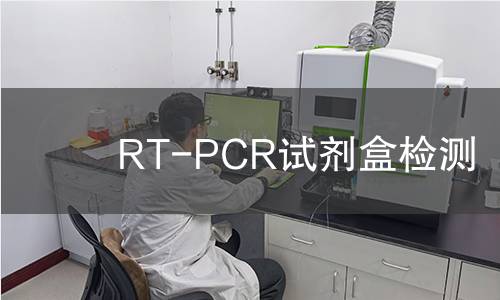 RT-PCR试剂盒检测