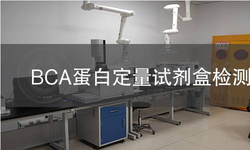 BCA蛋白定量试剂盒检测