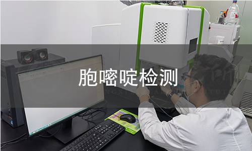胞嘧啶检测