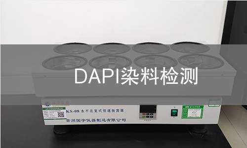 DAPI染料检测
