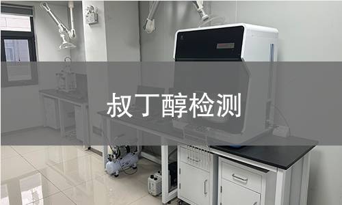 叔丁醇检测