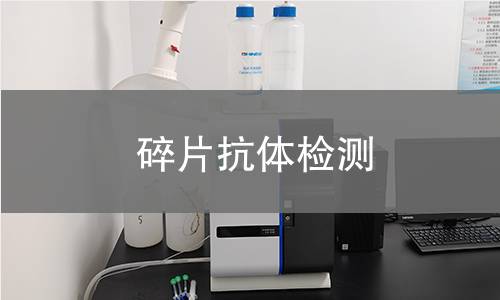 碎片抗体检测