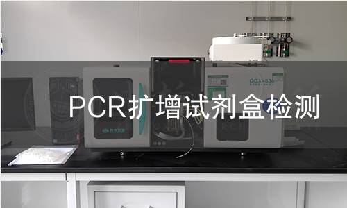 PCR扩增试剂盒检测