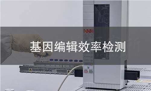 基因编辑效率检测