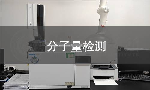 分子量检测