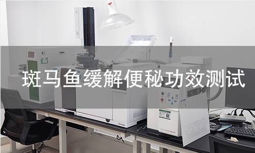斑马鱼缓解便秘功效测试