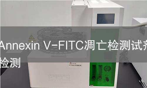 Annexin V-FITC凋亡检测试剂盒检测