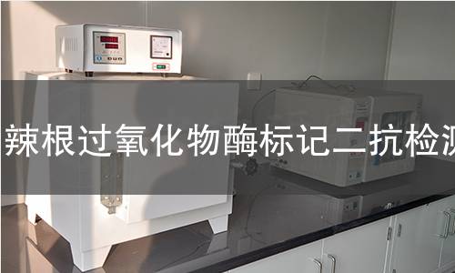 辣根过氧化物酶标记二抗检测