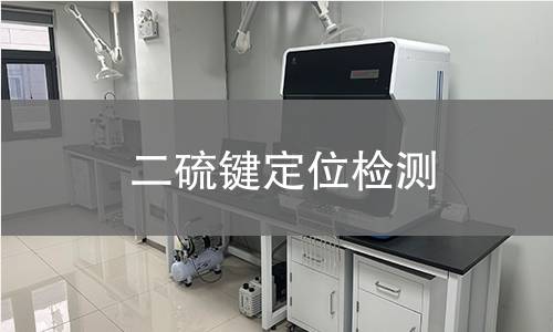 二硫键定位检测