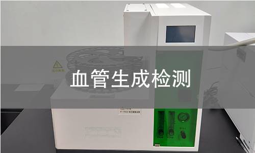 血管生成检测