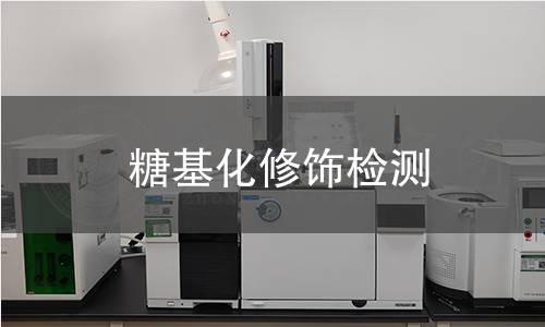 糖基化修饰检测