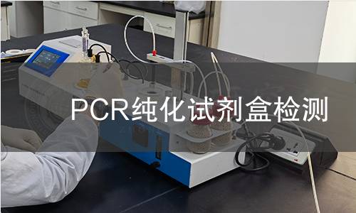 PCR纯化试剂盒检测