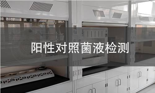 阳性对照菌液检测