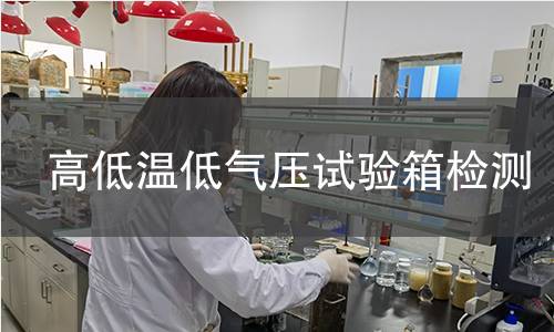 高低温低气压试验箱检测