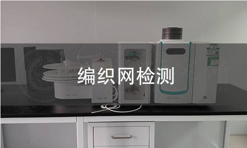 编织网检测