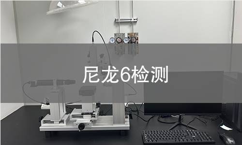 尼龙6检测