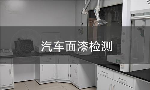 汽车面漆检测